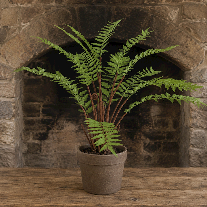 *POTTED FERN 75cm